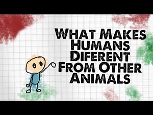 What Makes Humans Different From Other Animals