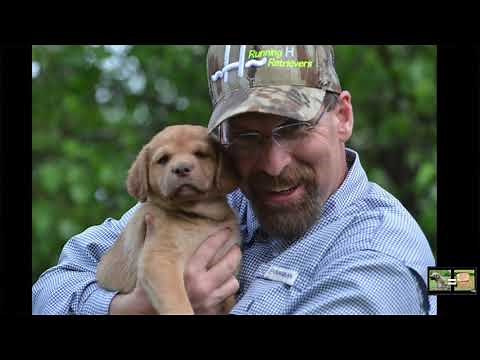 “Obedience” with Phil and Kay Robertson - CLIP