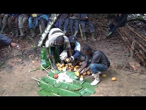 Jason Clay: The future of cocoa farming