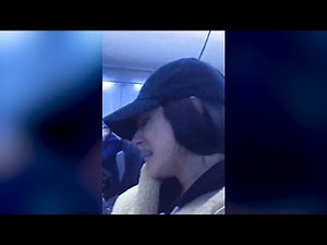 'You're harassing her': Co-passenger yells at American Airlines crew as they kick model off flight