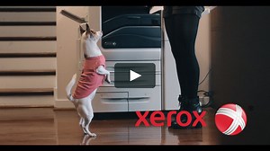 "Bark to English" XEROX Spot