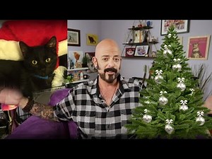 Keep Your Cats Safe And Happy During The Holidays!