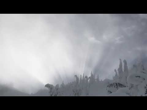 WOW! Stunning crepuscular rays from snow concreted trees on Cowboy Ridge, WA!