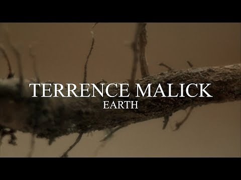 TERRENCE MALICK — EARTH