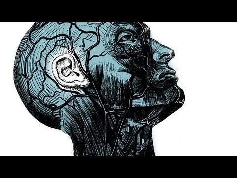 Your brain on improv - Charles Limb